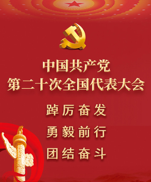 2X����Ƭʽ��ձ����������D