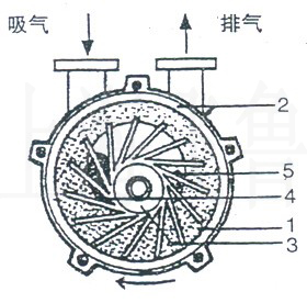 2BV型水環式真空泵及壓縮機工作原理圖